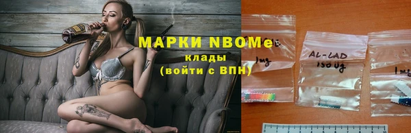 дмт Елизово