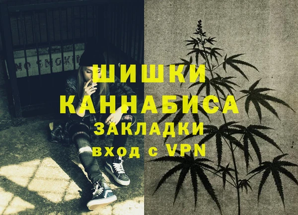 дмт Елизово