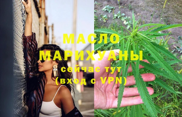 дмт Елизово