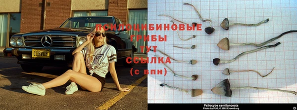 бошки Елабуга