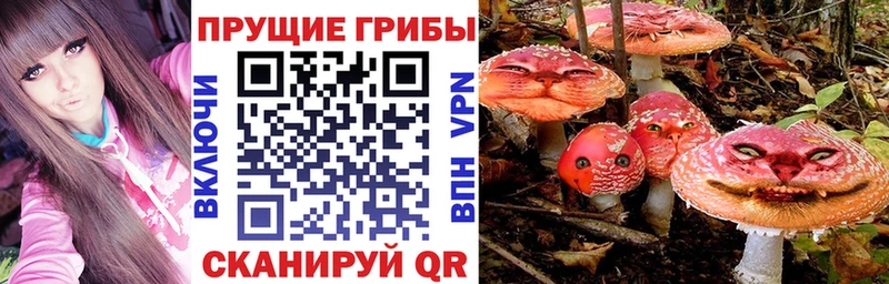 Псилоцибиновые грибы Psilocybine cubensis  Купить  Миасс 